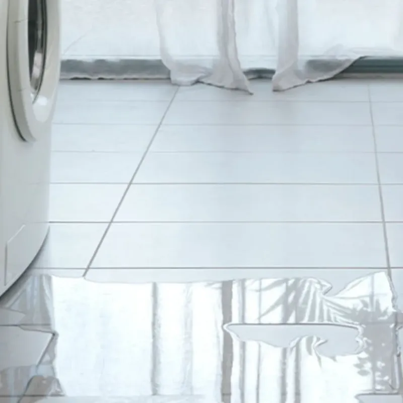 Appliance Leak Cleanup in Leesburg, GA