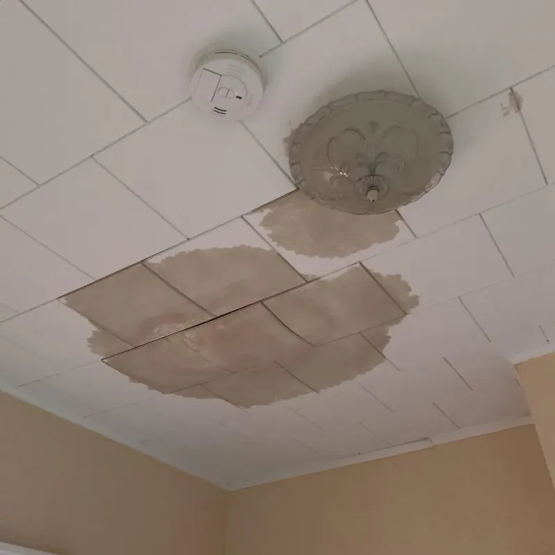 Ceiling Water Damage Repair in Leesburg, GA