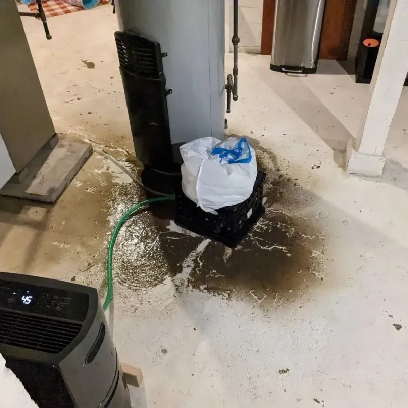 Sewage Backup Cleanup Service in Leesburg, GA
